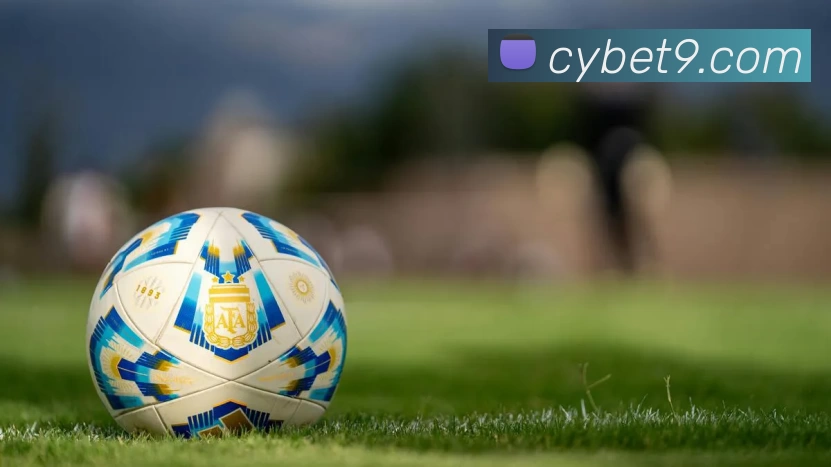 彩盈娱乐官网APP 封面图